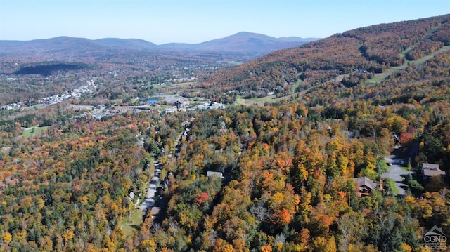 0 Club Rd, Windham, NY 12496