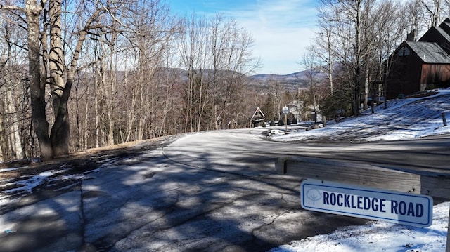 0 Club Rd, Windham, NY 12496