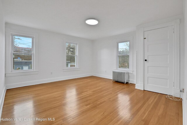 20-22 Milton Ave, Highland, NY 12528 - unfurnished room with radiator, light wood-style floors, and plenty of natural light