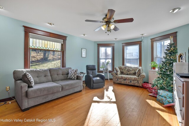 20-22 Milton Ave, Highland, NY 12528 - living area with ceiling fan and light wood-style flooring