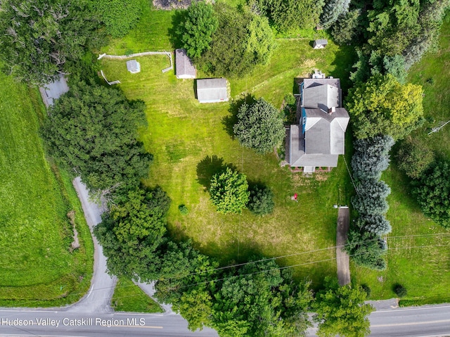 221 S Gilboa Rd, Gilboa, NY 12076 - photo 50
