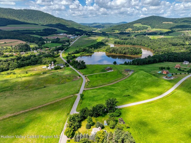 221 S Gilboa Rd, Gilboa, NY 12076 - photo 4