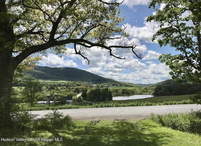 221 S Gilboa Rd, Gilboa, NY 12076 - photo 53