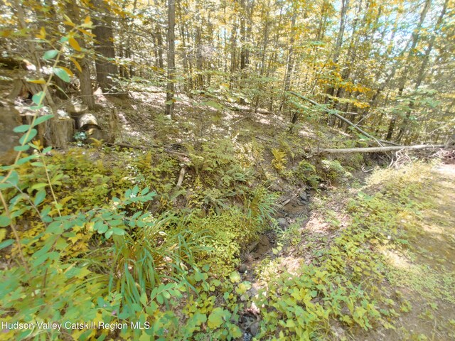 249 High St, Phoenicia, NY 12464 - photo 9