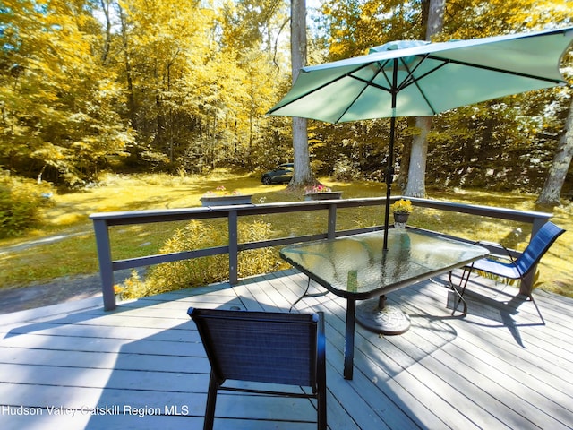 249 High St, Phoenicia, NY 12464 - photo 12