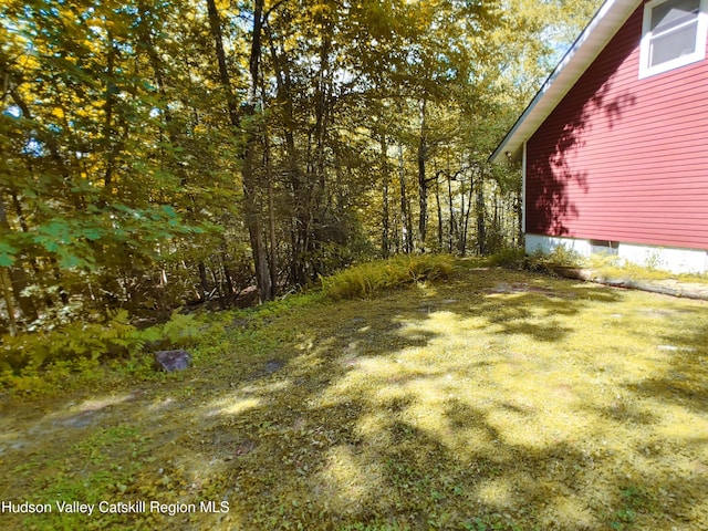 249 High St, Phoenicia, NY 12464 - photo 32