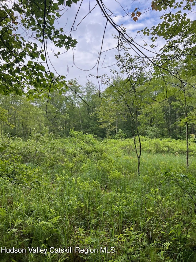0 Rte 32, Cairo, NY 12405