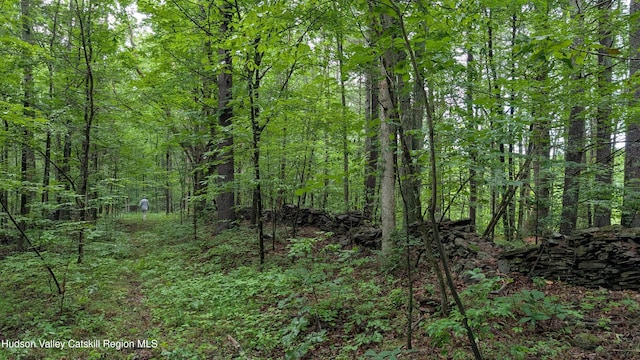 0 Rte 32, Cairo, NY 12405