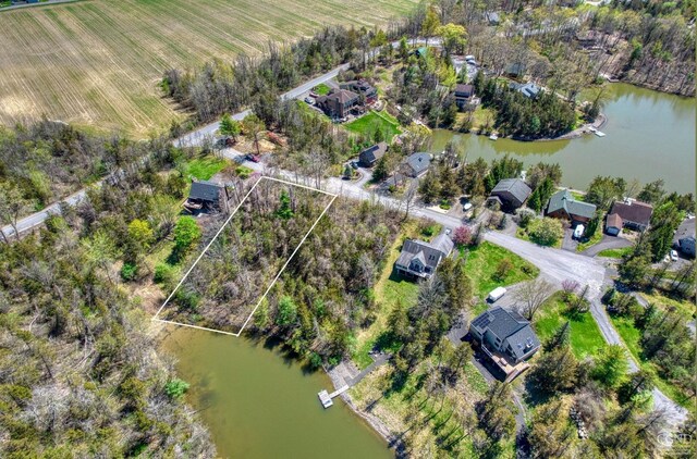 16 Dutchman Dr, Athens, NY 12015 - photo 1