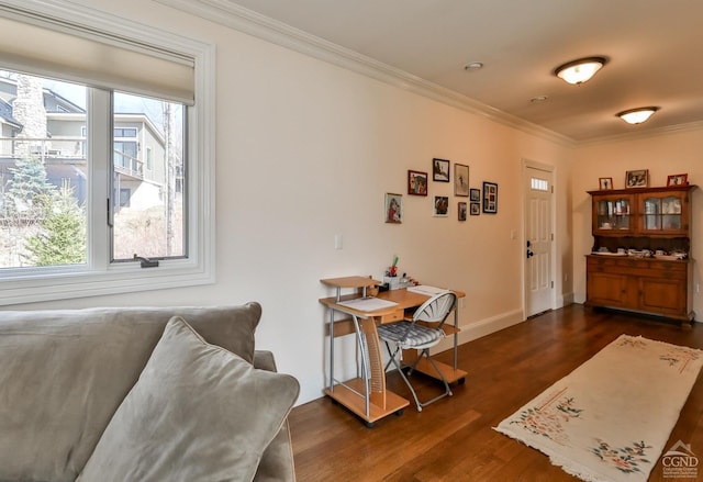 88 Gaby Ln, Hunter, NY 12442 - dining room with crown molding, dark wood-type flooring, healthy amount of natural light, and baseboards