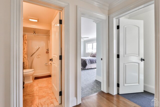 88 Gaby Ln, Hunter, NY 12442 - hall featuring baseboards, crown molding, and carpet floors