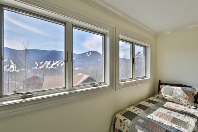 88 Gaby Ln, Hunter, NY 12442 - bedroom featuring ornamental molding