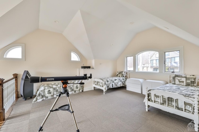 88 Gaby Ln, Hunter, NY 12442 - bedroom with multiple windows, vaulted ceiling, and carpet floors