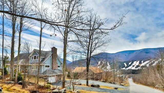 88 Gaby Ln, Hunter, NY 12442 - mountain view