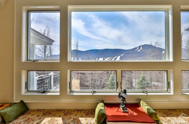 88 Gaby Ln, Hunter, NY 12442 - detailed view of a mountain view