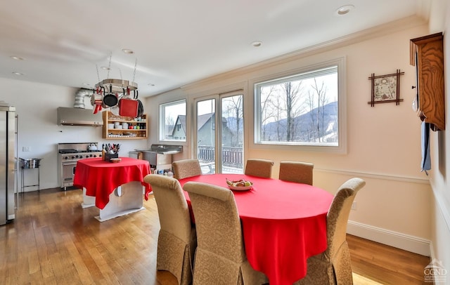 88 Gaby Ln, Hunter, NY 12442 - dining space with wood finished floors, recessed lighting, and baseboards