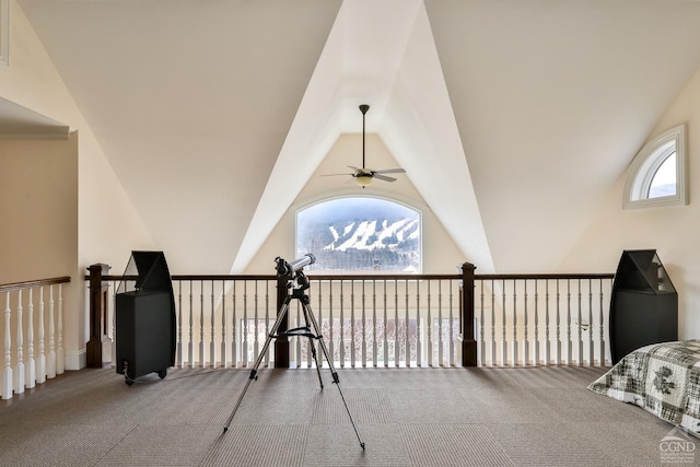 88 Gaby Ln, Hunter, NY 12442 - corridor featuring vaulted ceiling and carpet floors