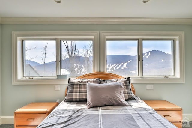 88 Gaby Ln, Hunter, NY 12442 - bedroom featuring ornamental molding