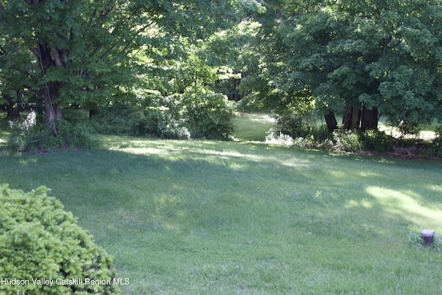 55 Harry Wells Rd, Saugerties, NY 12477 - view of grassy yard