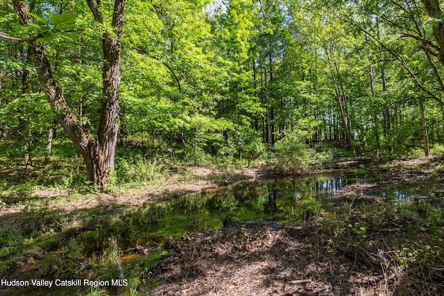55 Harry Wells Rd, Saugerties, NY 12477 - view of wooded area