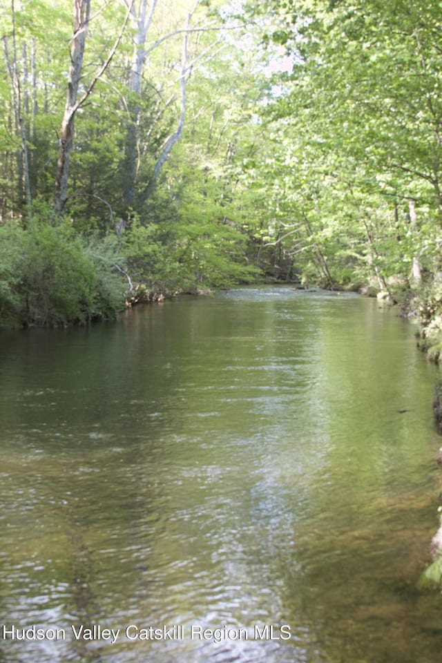 55 Harry Wells Rd, Saugerties, NY 12477 - water view featuring a forest