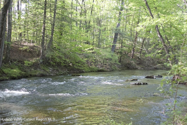 55 Harry Wells Rd, Saugerties, NY 12477 - water view with a heavily wooded area