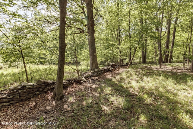 55 Harry Wells Rd, Saugerties, NY 12477 - view of woods