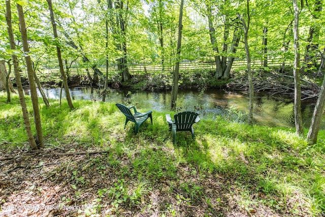 55 Harry Wells Rd, Saugerties, NY 12477 - view of yard