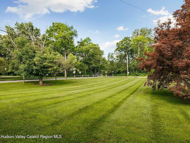 11 Hoppenstedt Rd, Wallkill, NY 12589 - photo 41