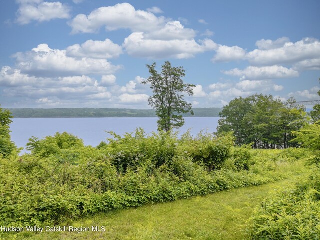 19 Riverview Ter, Kingston, NY 12401 - photo 49