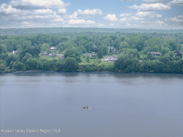 19 Riverview Ter, Kingston, NY 12401 - photo 52
