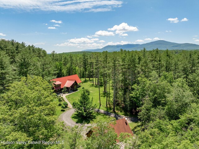 137 Kennedy Ln, East Durham, NY 12423 - photo 35