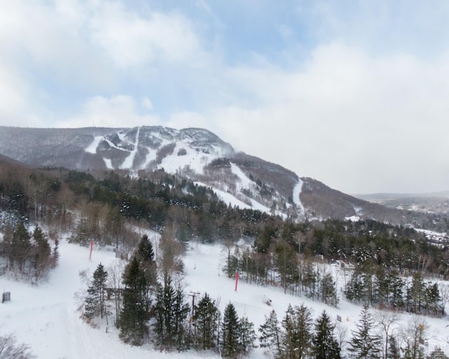 mountain view