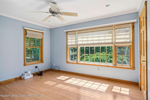 8 Evans Rd, Windham, NY 12496