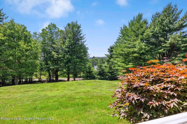 8 Evans Rd, Windham, NY 12496