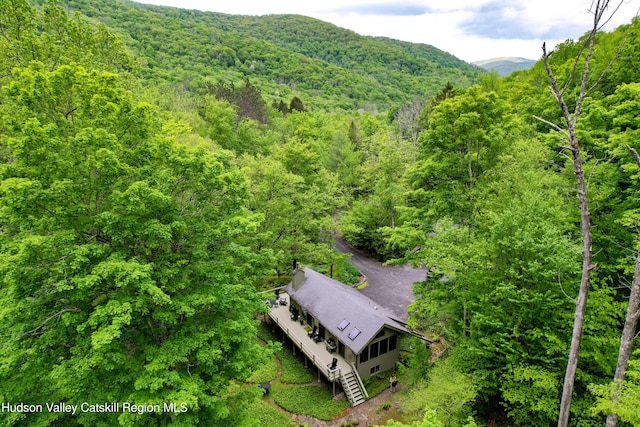23 Riseley Ln, Mount Tremper, NY 12457 - photo 52