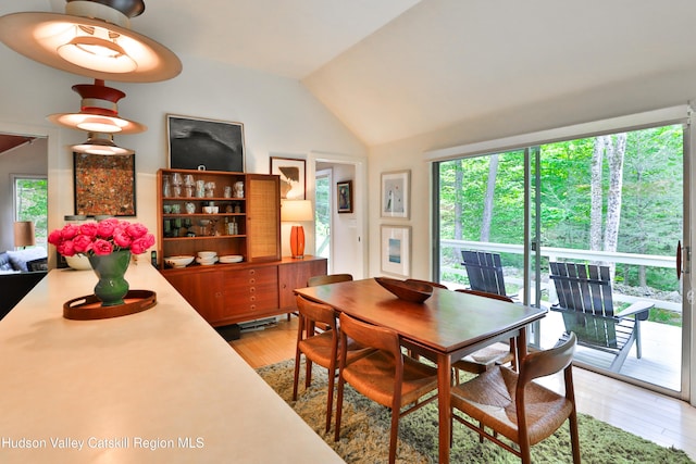 23 Riseley Ln, Mount Tremper, NY 12457 - photo 14