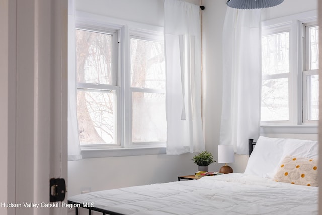 bedroom featuring multiple windows