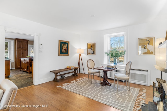 660-668 N Chodikee Lake Rd, Highland, NY 12528 - living area with wood finished floors, baseboards, and radiator heating unit