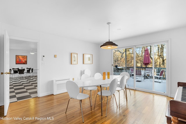 660-668 N Chodikee Lake Rd, Highland, NY 12528 - dining space featuring light wood-style flooring, baseboards, and ceiling fan