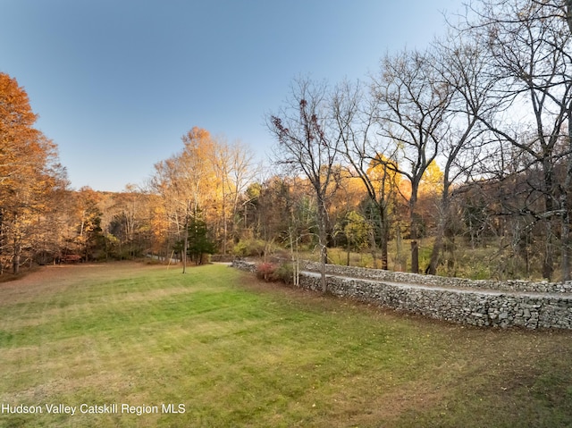660-668 N Chodikee Lake Rd, Highland, NY 12528 - view of green lawn featuring a forest view