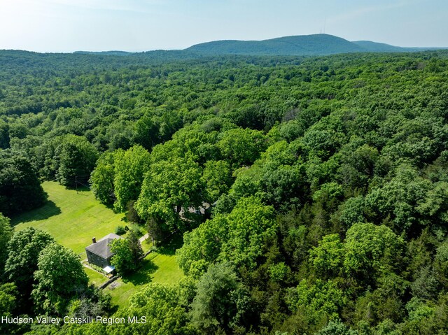 660-668 N Chodikee Lake Rd, Highland, NY 12528 - drone / aerial view of a heavily wooded area and a mountainous background