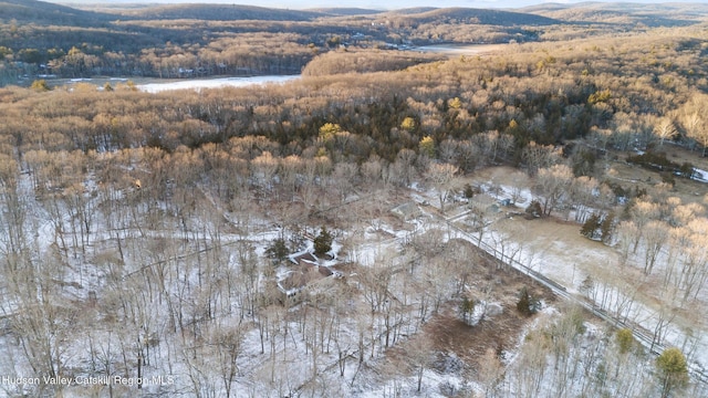 660-668 N Chodikee Lake Rd, Highland, NY 12528 - view of property location with a forest and a mountain backdrop