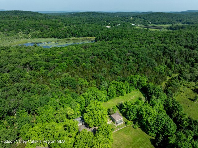660-668 N Chodikee Lake Rd, Highland, NY 12528 - aerial view of property and surrounding area featuring a forest and a large body of water