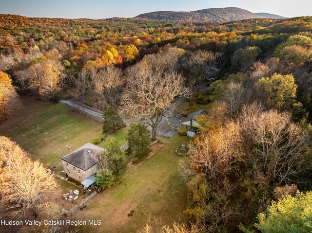 660-668 N Chodikee Lake Rd, Highland, NY 12528 - aerial overview of property's location with a heavily wooded area and a mountain backdrop