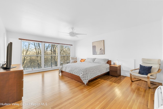 660-668 N Chodikee Lake Rd, Highland, NY 12528 - bedroom with light wood-style floors and baseboard heating