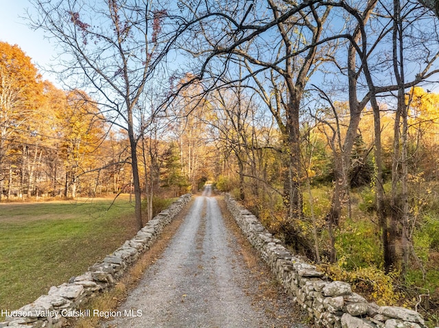 660-668 N Chodikee Lake Rd, Highland, NY 12528 - view of street with a forest view