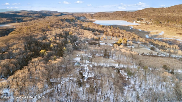660-668 N Chodikee Lake Rd, Highland, NY 12528 - aerial view of property and surrounding area with mountains