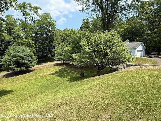 208 Paul Saxe Rd, Catskill, NY 12414 - view of grassy yard featuring asphalt driveway