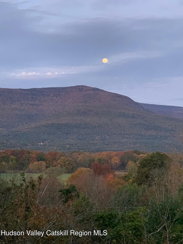 208 Paul Saxe Rd, Catskill, NY 12414 - photo 52